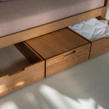 AK Sleeper Sofa