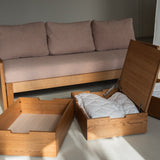 AK Sleeper Sofa