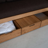 AK Sleeper Sofa