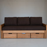 AK Sleeper Sofa