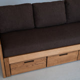 AK Sleeper Sofa
