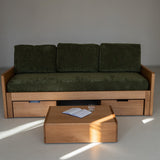 AK Sleeper Sofa