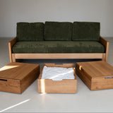 AK Sleeper Sofa