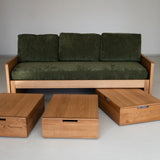 AK Sleeper Sofa