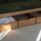 AK Sleeper Sofa