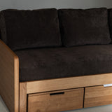 AK Sleeper Sofa