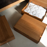 AK Sleeper Sofa