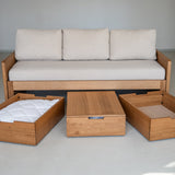 AK Sleeper Sofa