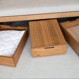 AK Sleeper Sofa