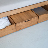 AK Sleeper Sofa