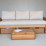 AK Sleeper Sofa