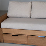 AK Sleeper Sofa