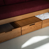 AK Sleeper Sofa